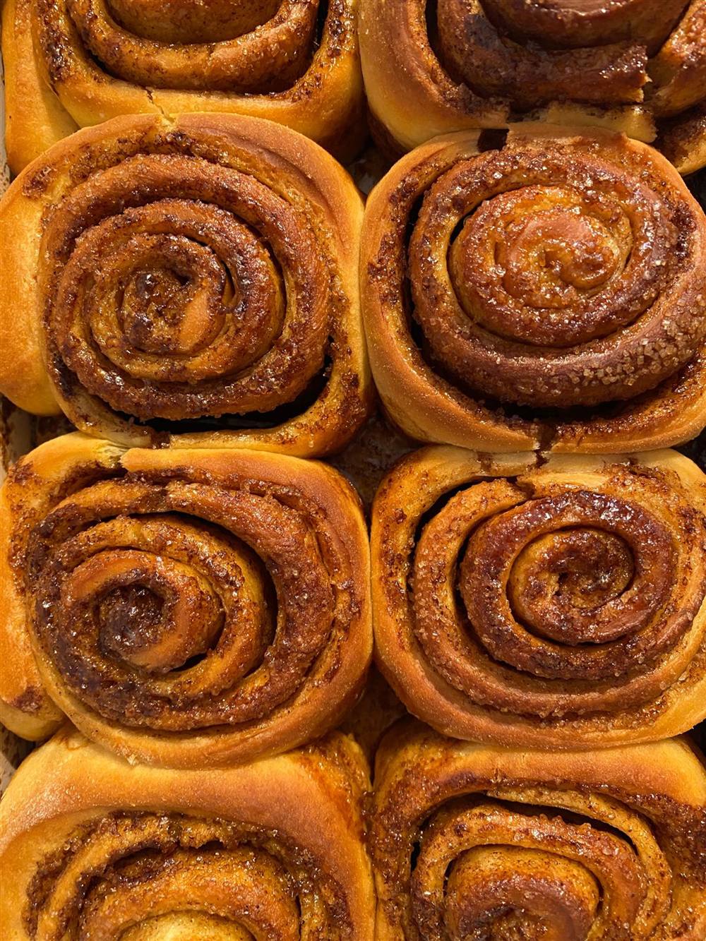 Close-up of glazed Canelli cinnamon rolls